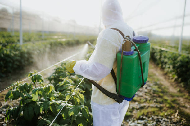 Pest Prevention Services in Mission Hills, KS